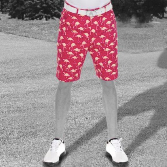 Royal and Awesome Other - Royal & Awesome Birdie Breeks Golf shorts NWT